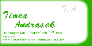 timea andrasek business card